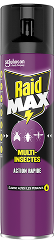 Raid Multi Insectes 400ml