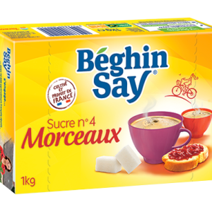 Sucre en morceaux importe Béghin Say 1kg