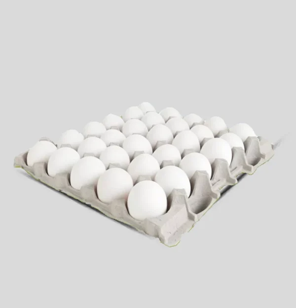 Tablette Oeufs de 30