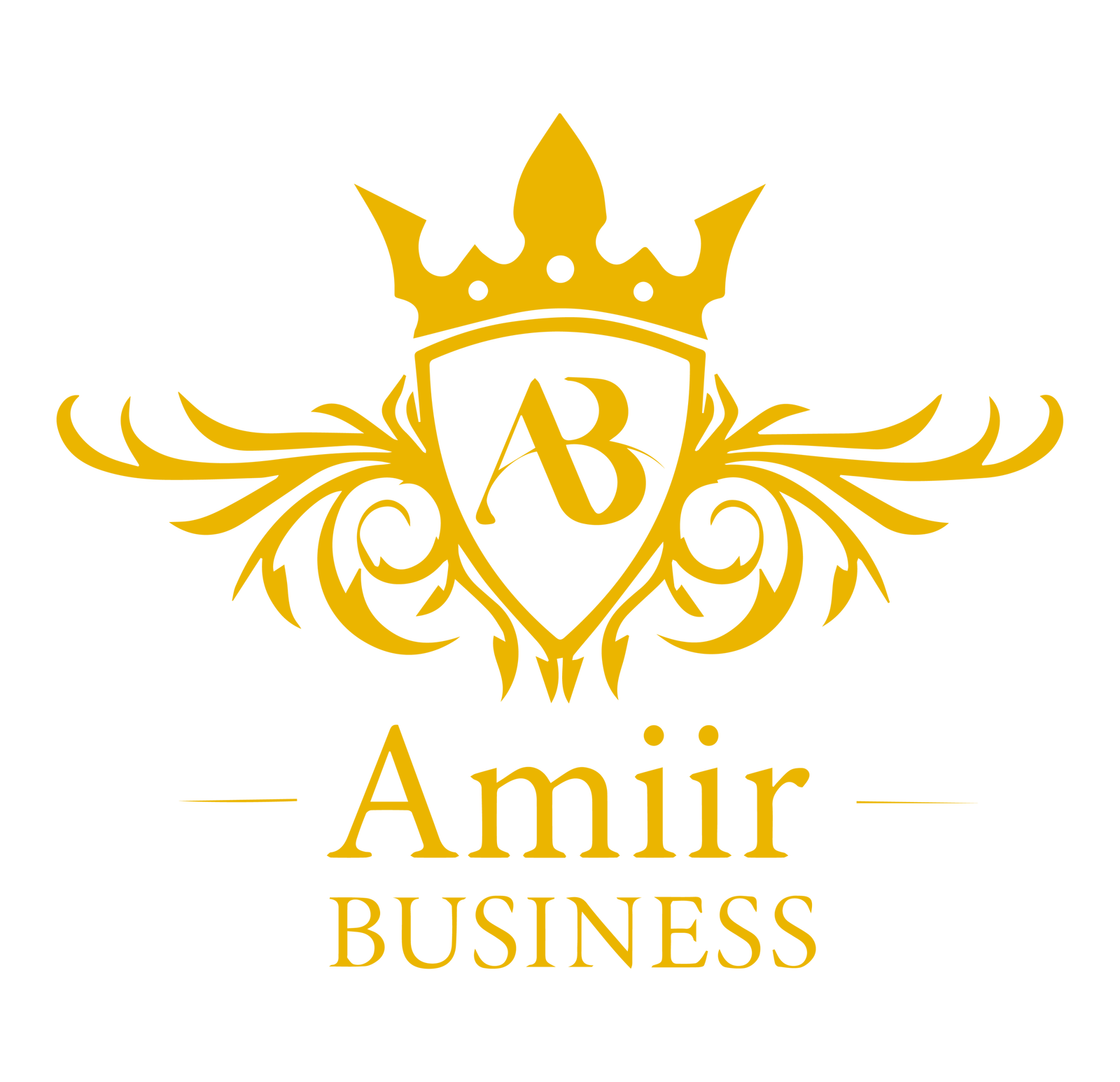 LOGO AMIIR BUSINESS